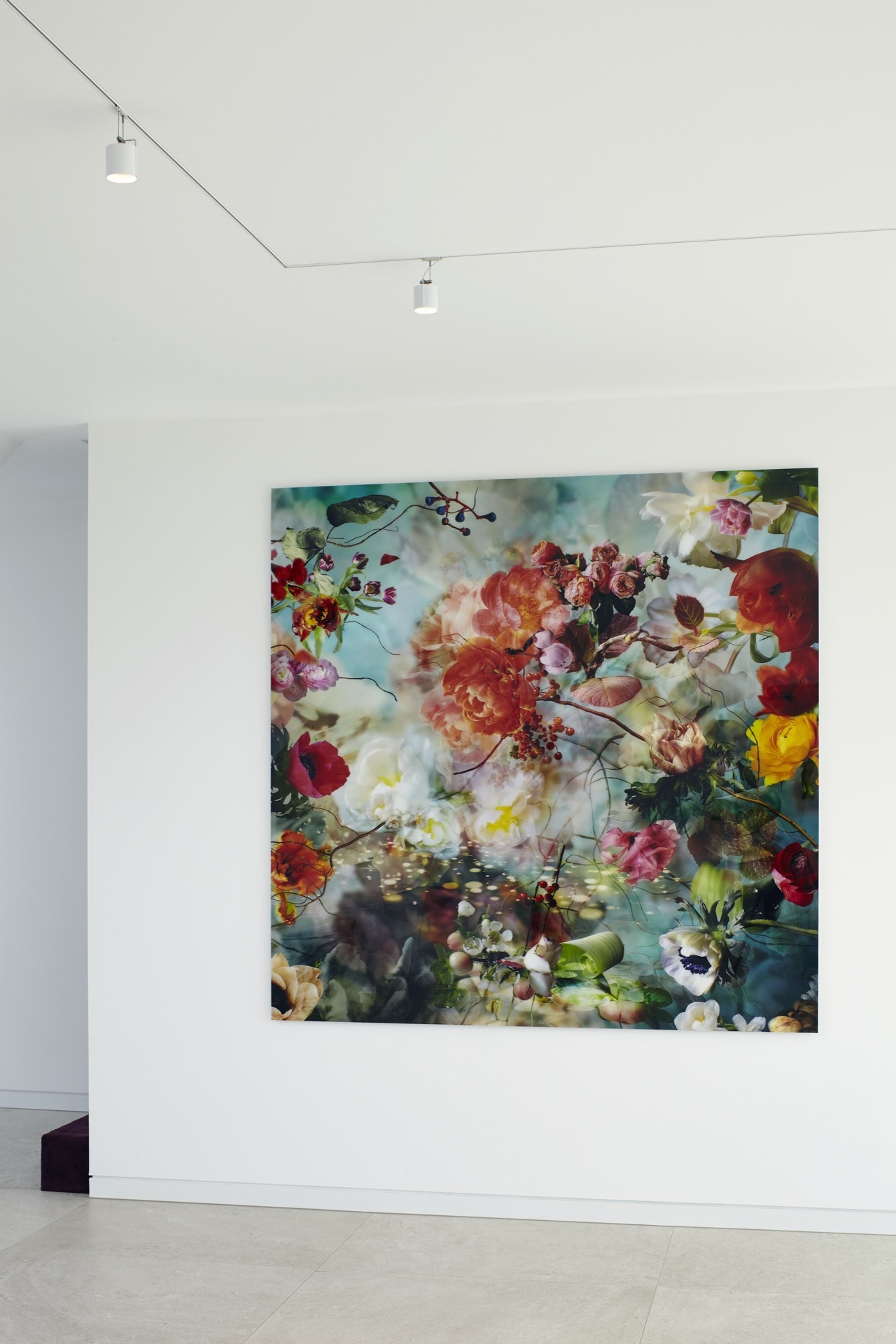 Penthouse Bonn - buschfeld LightLight® IN + Strahler 