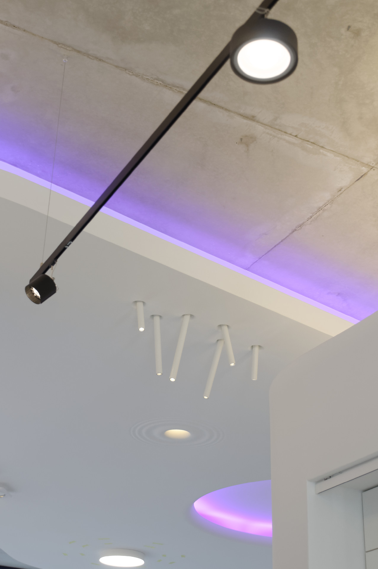 buschfeld - sense system + FLOS Juncos